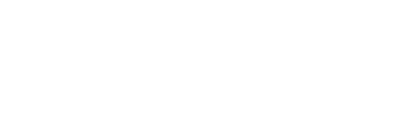 Montreal Institute of Swimming
