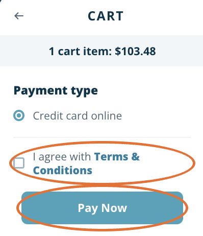 Step 5 - Review and pay