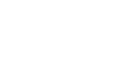 Swim Team Logo